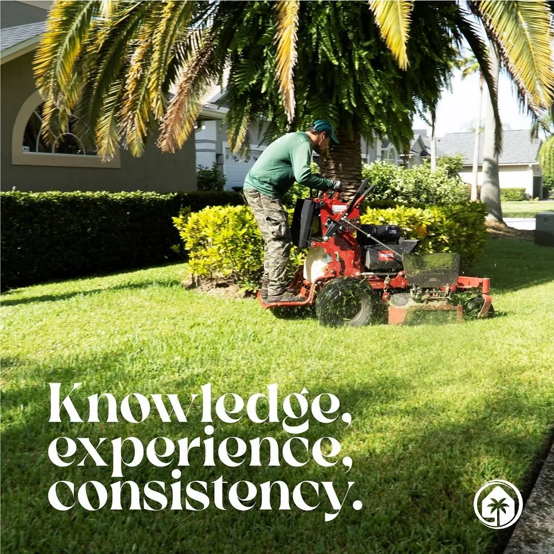 Mowing under a queen palm — knowledge, experience, consistency