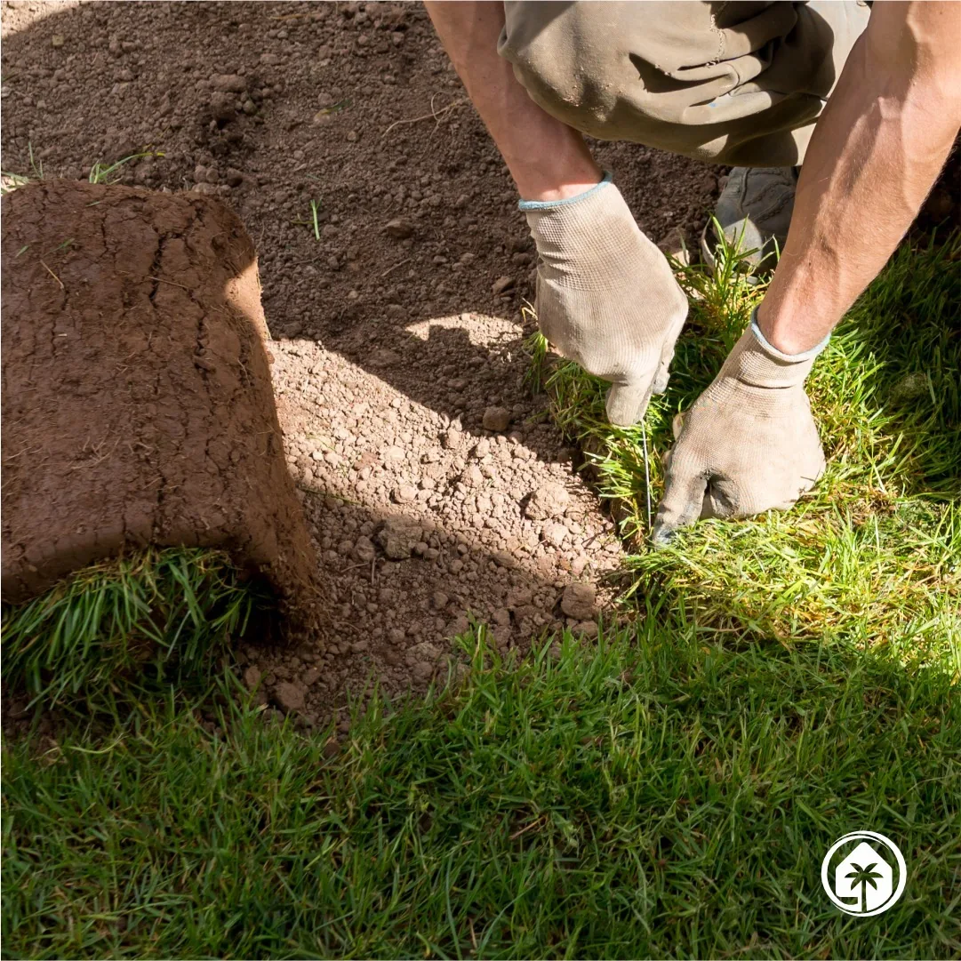 Sod installation in progress